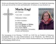 eine Anzeige